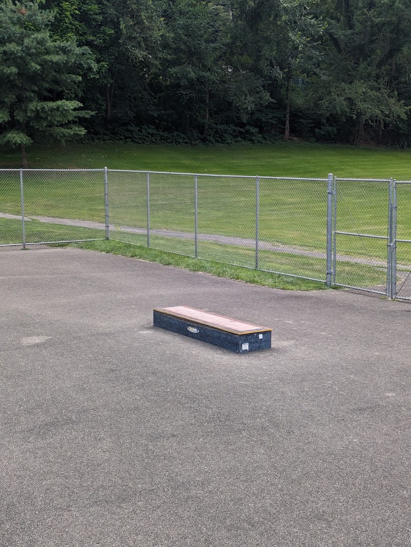 Manor borough skatepark