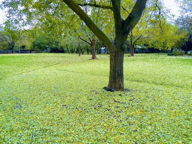 Mountain View Park