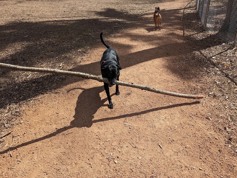 Rothschild Dog Park - Pickleball in Rothschild, Wisconsin