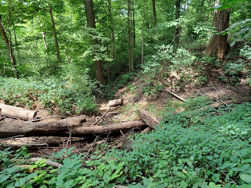 Travertine Fen Park