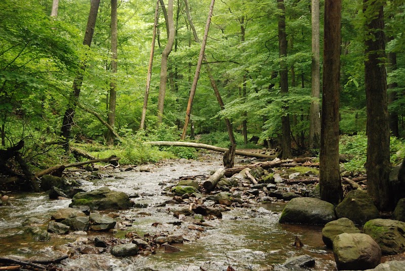 Pocono Environmental Education Center - Pickleball in Dingmans Ferry, Pennsylvania