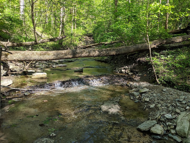 Centennial Park at Houk Stream