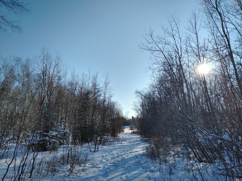 Lian Valcour Neighbourhood Park