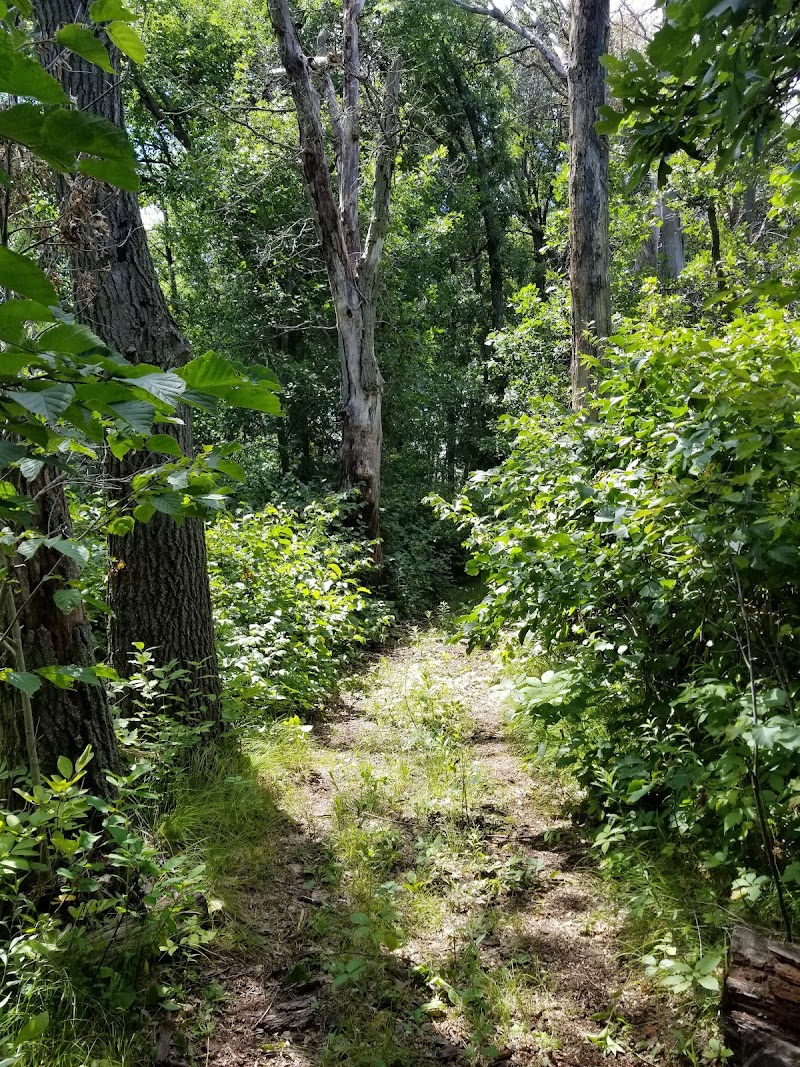 Fred and Rose Cross Nature Area