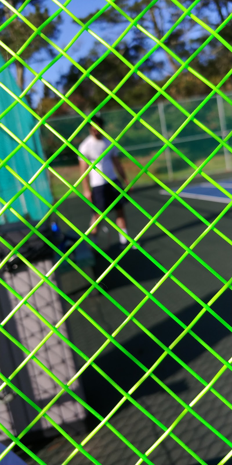 Arlington Park Tennis Courts