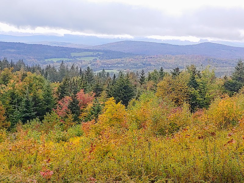 Barr Hill Natural Area