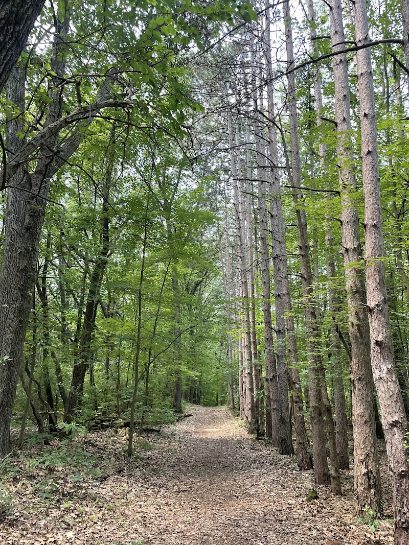Rudolphi Wildlife Refuge - Pickleball in Dowagiac, Michigan