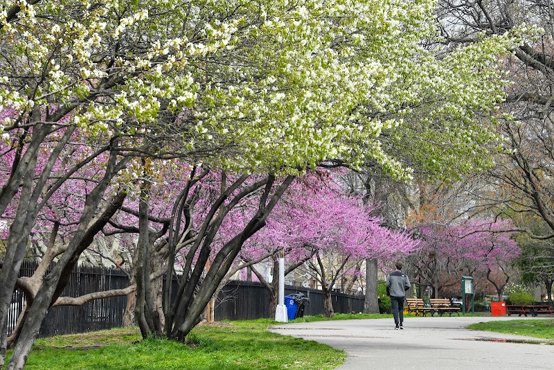 McCarren Park - Pickleball in Brooklyn, New York