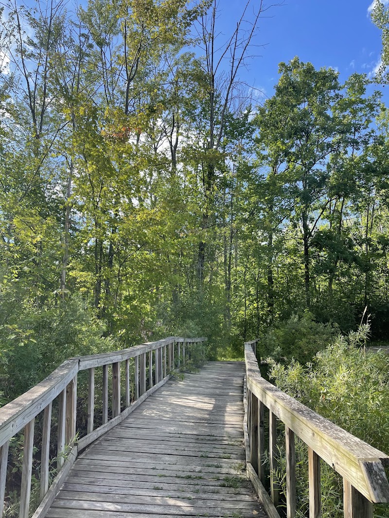 Harvey Randall Wickes Park