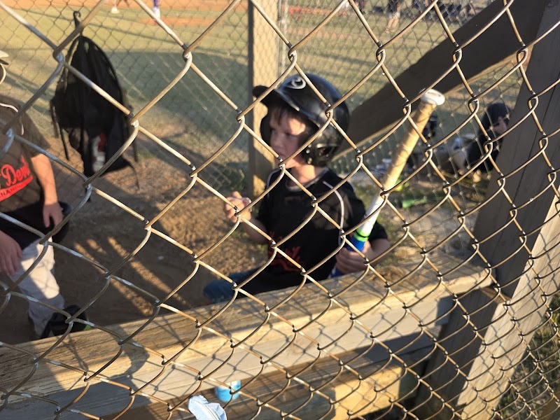 Hernando City Baseball Fields