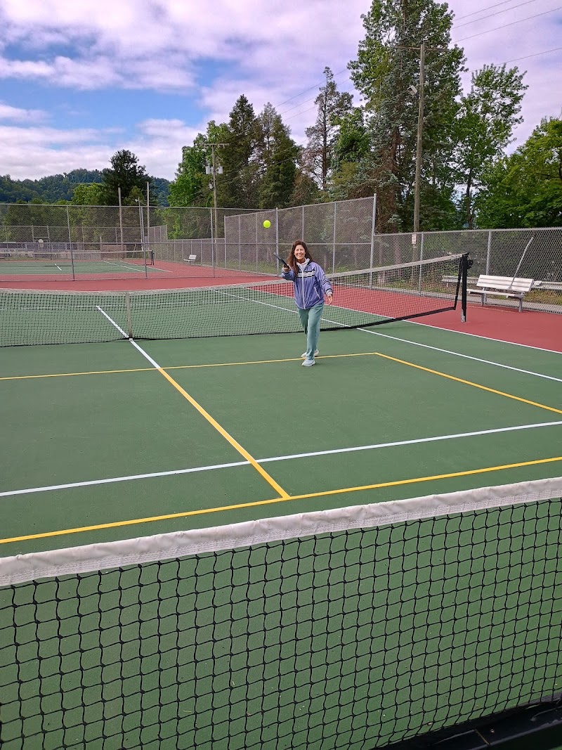 Warwood pickleball courts - Pickleball in Wheeling, West Virginia