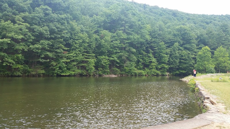 Lykens Glen Park