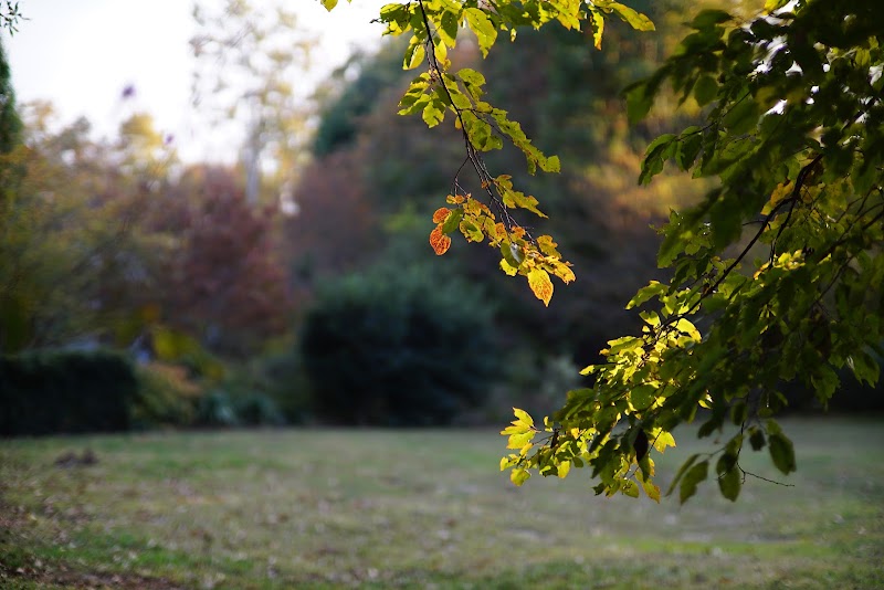 North Forest Hills Park