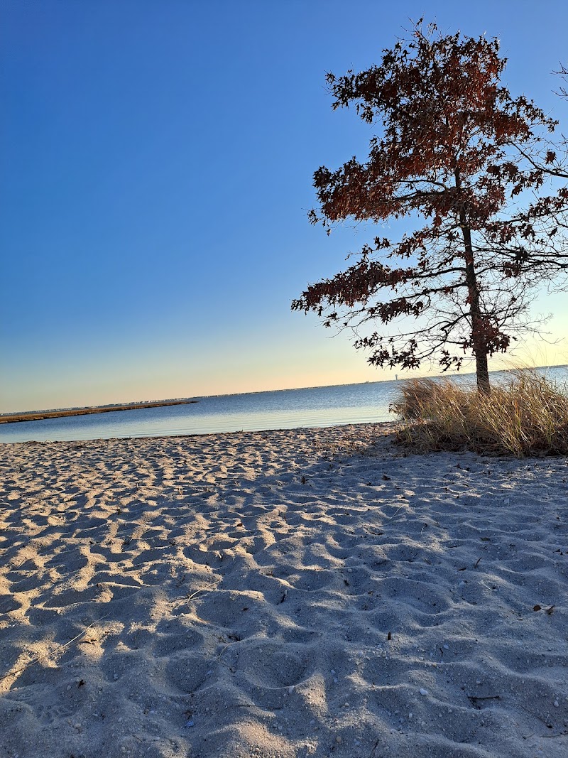 Shelter Cove Park