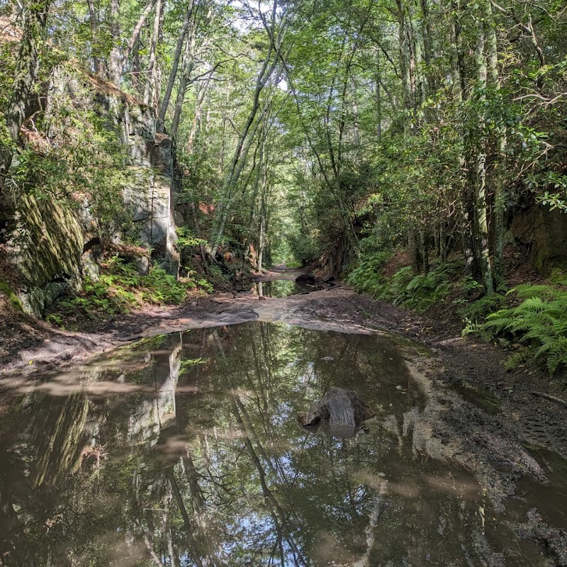 Moosup Valley State Park Trail