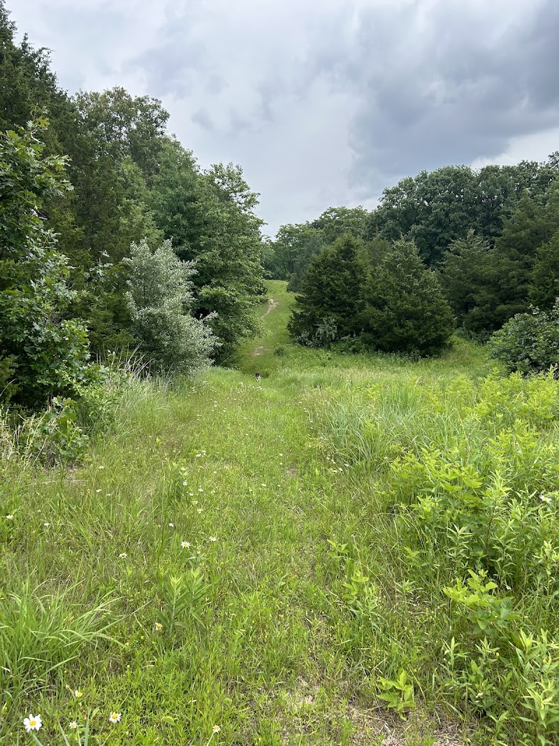 West 43 Wilderness Area