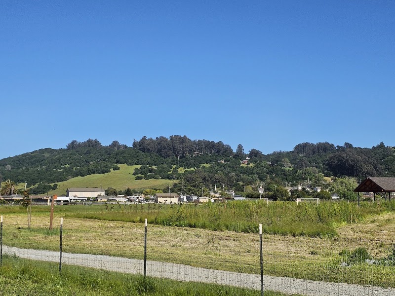 Aromas Dog Park