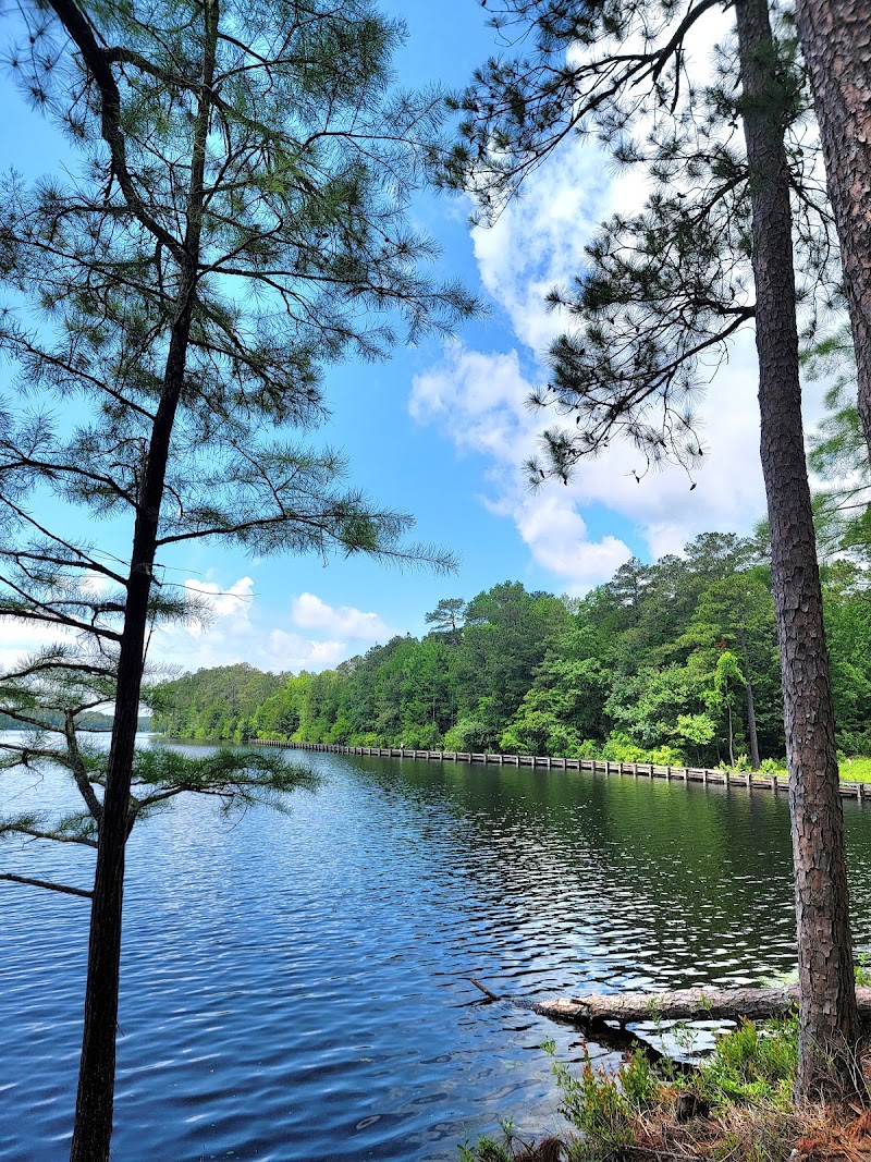 Cheraw State Park Beach - Pickleball in Cheraw, South Carolina
