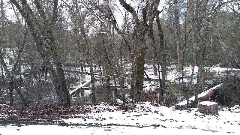 Midpines Park