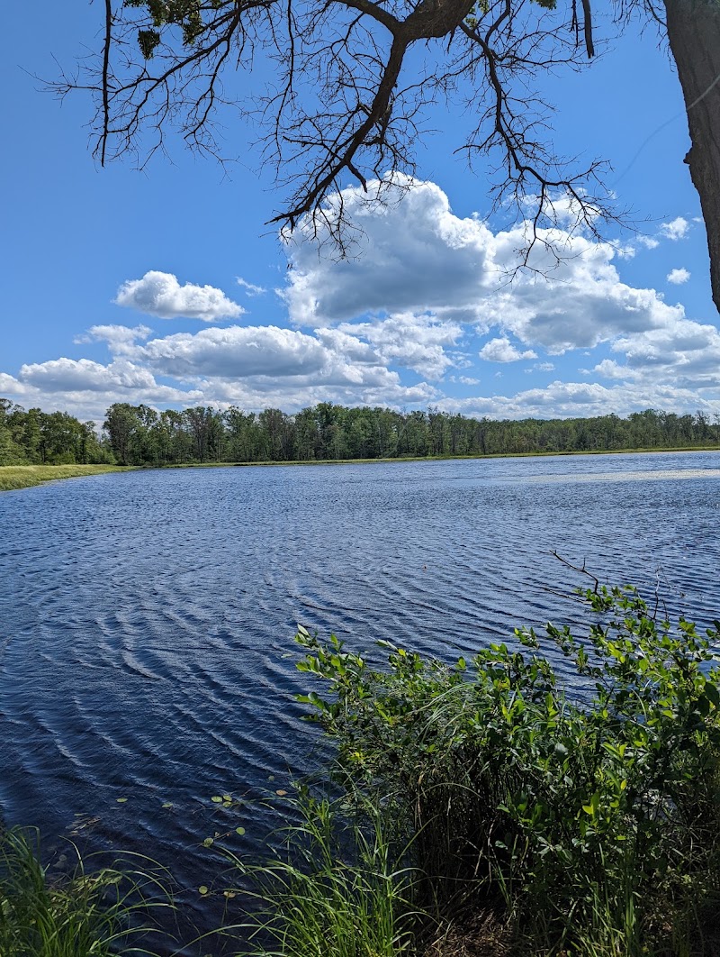 Sherwood County Park & Campground - Pickleball in Sherwood, Wisconsin