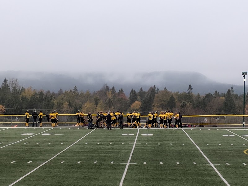 Arthur Miller Fields