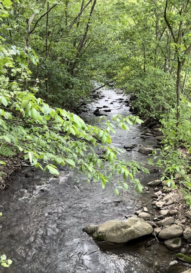 Turner Park