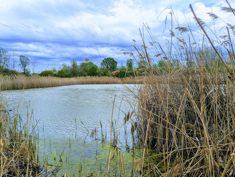 Southgate Nature Center