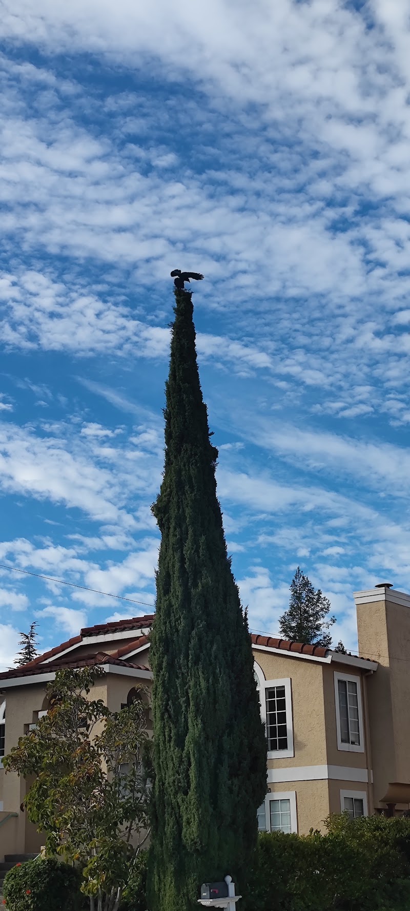 San Carlos Youth Center