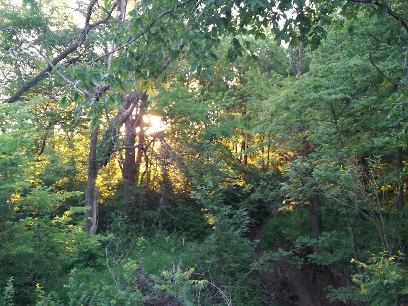Cooks park
