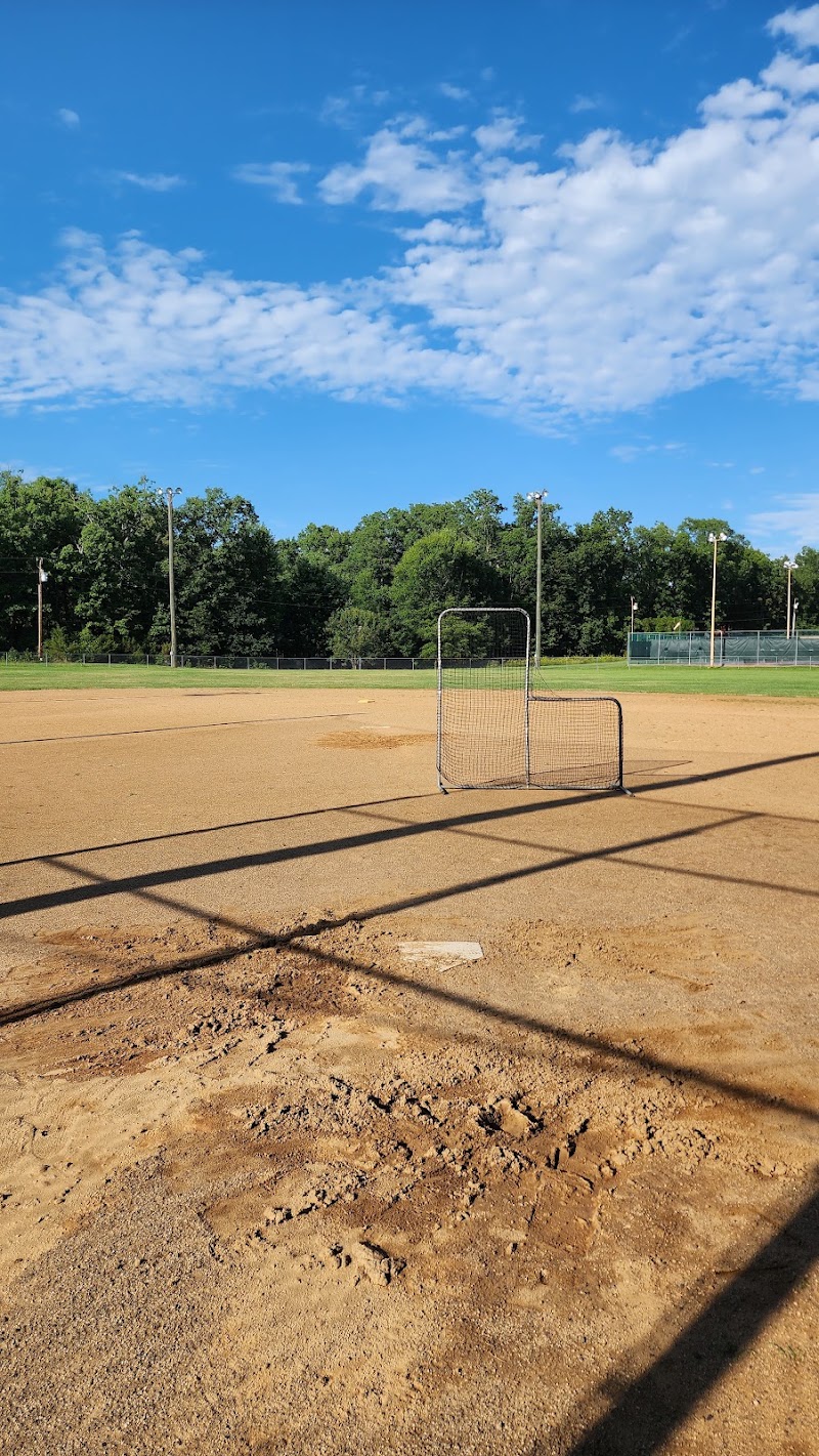 Hollyfield Park - Pickleball in Lignum, Virginia