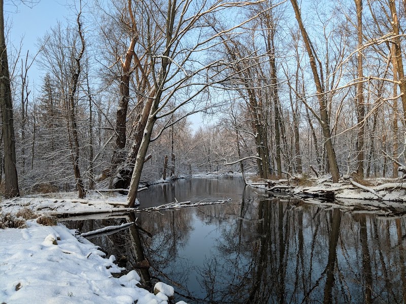 Looking Glass Riverfront Park (DeWitt Charter Township)
