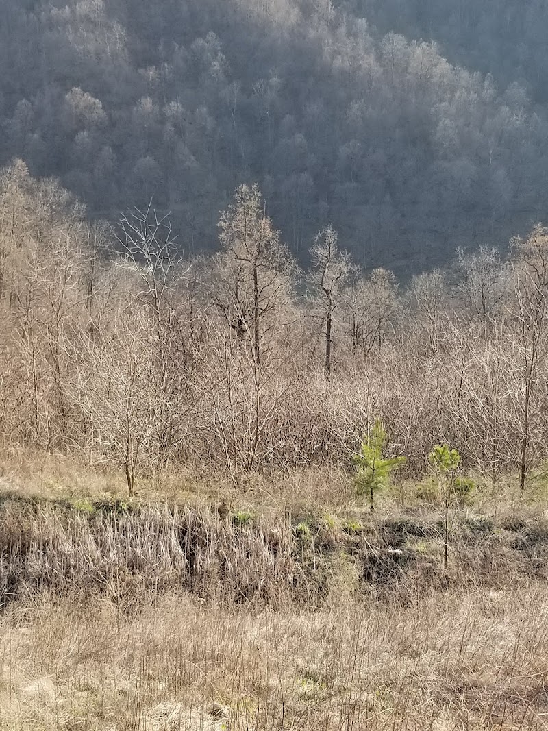 Cabin Creek