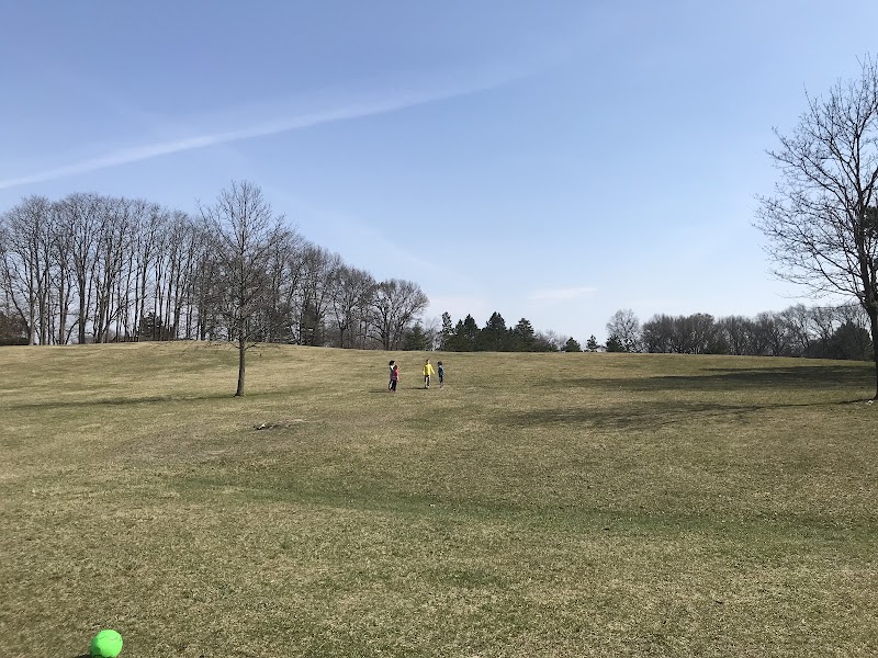 Gilbert Willis Park - Pickleball in Salem, Michigan
