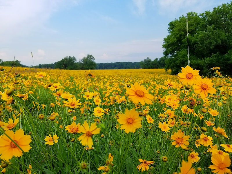 Plumb Lake County Park
