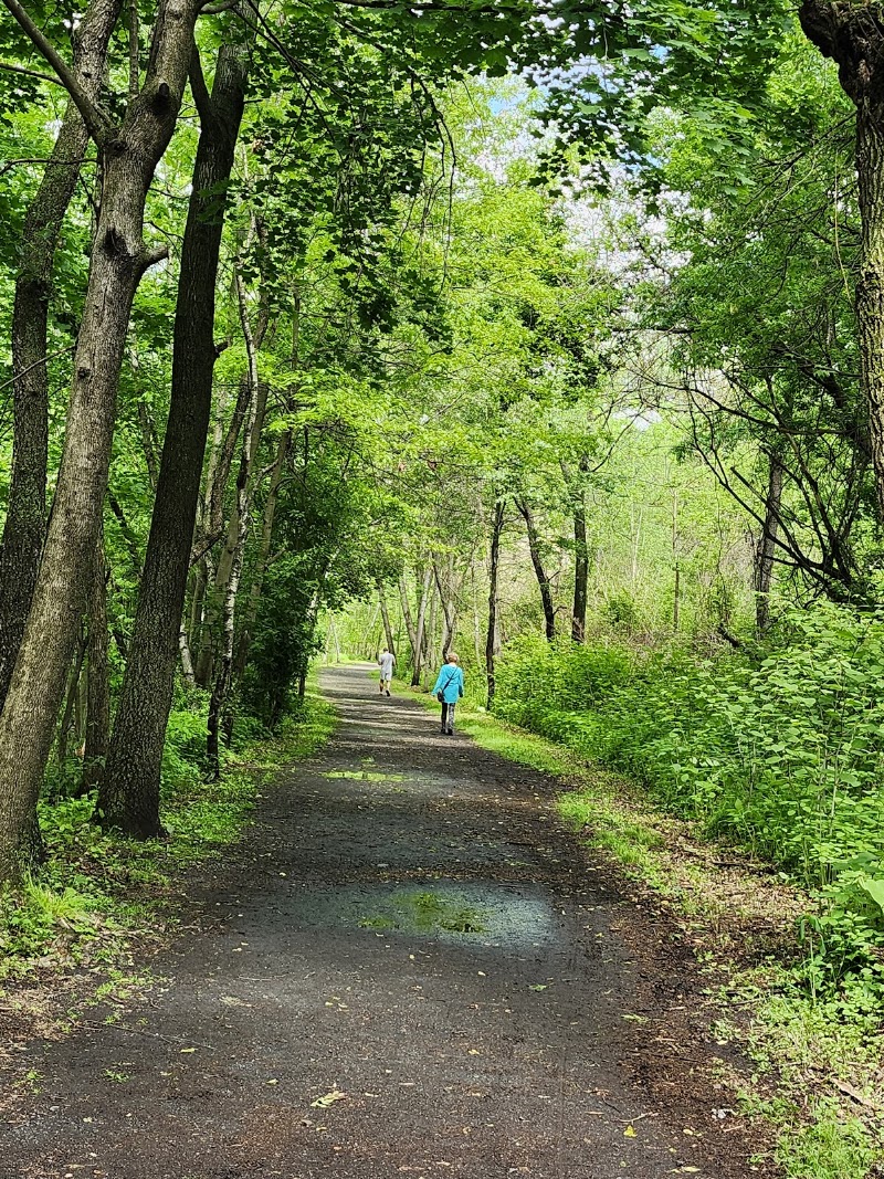 Condella Park