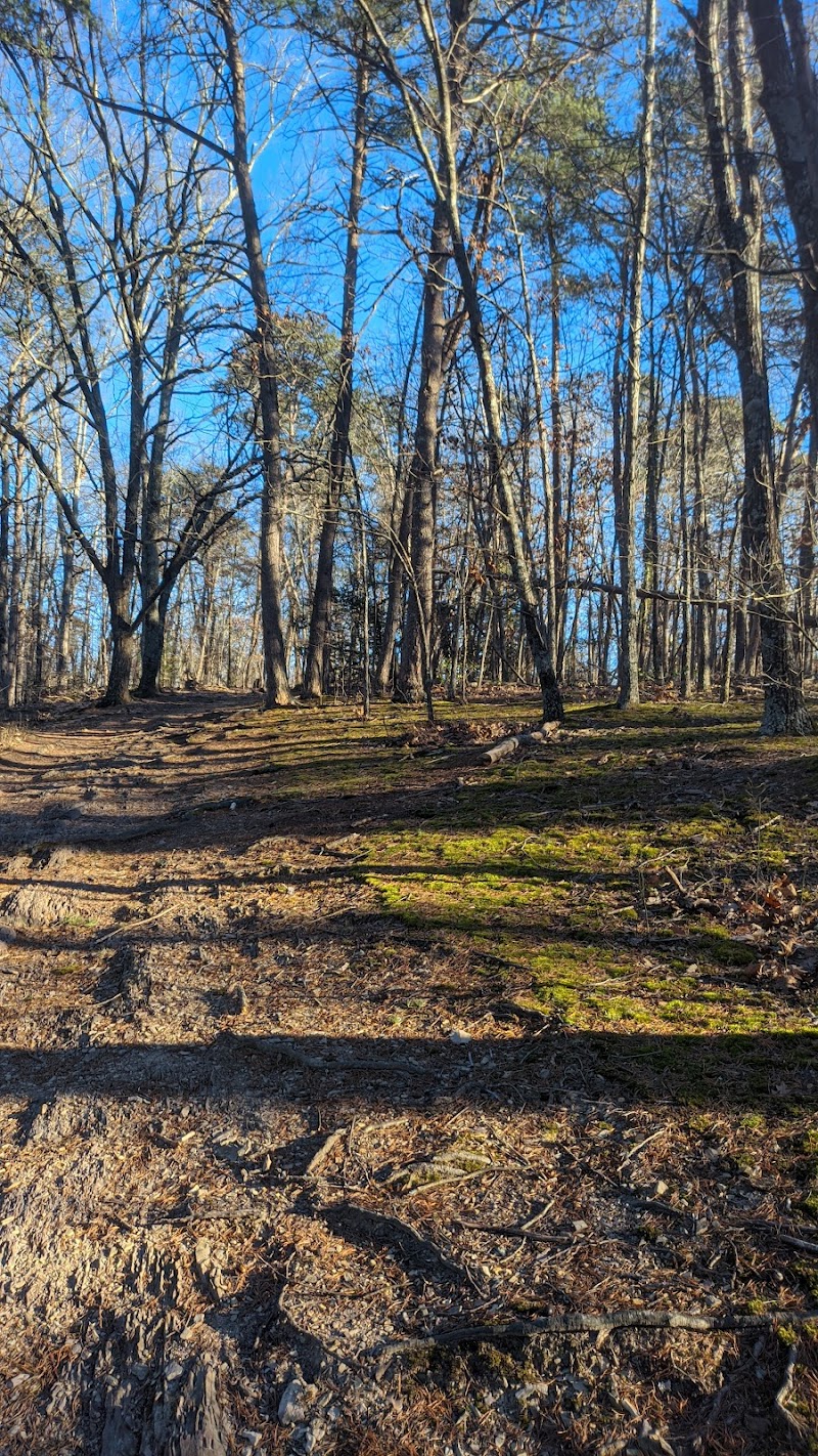 Shrine Hill Park - Pickleball in Roanoke, Virginia