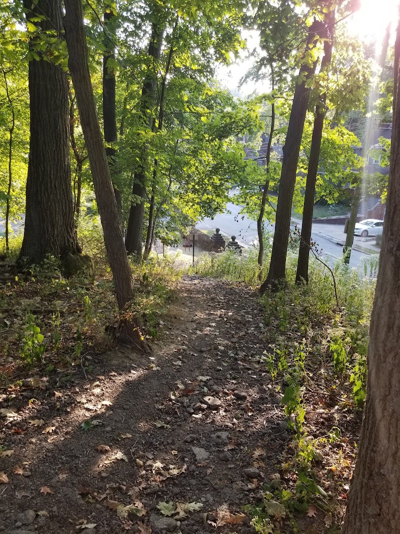 Forest Hills Park