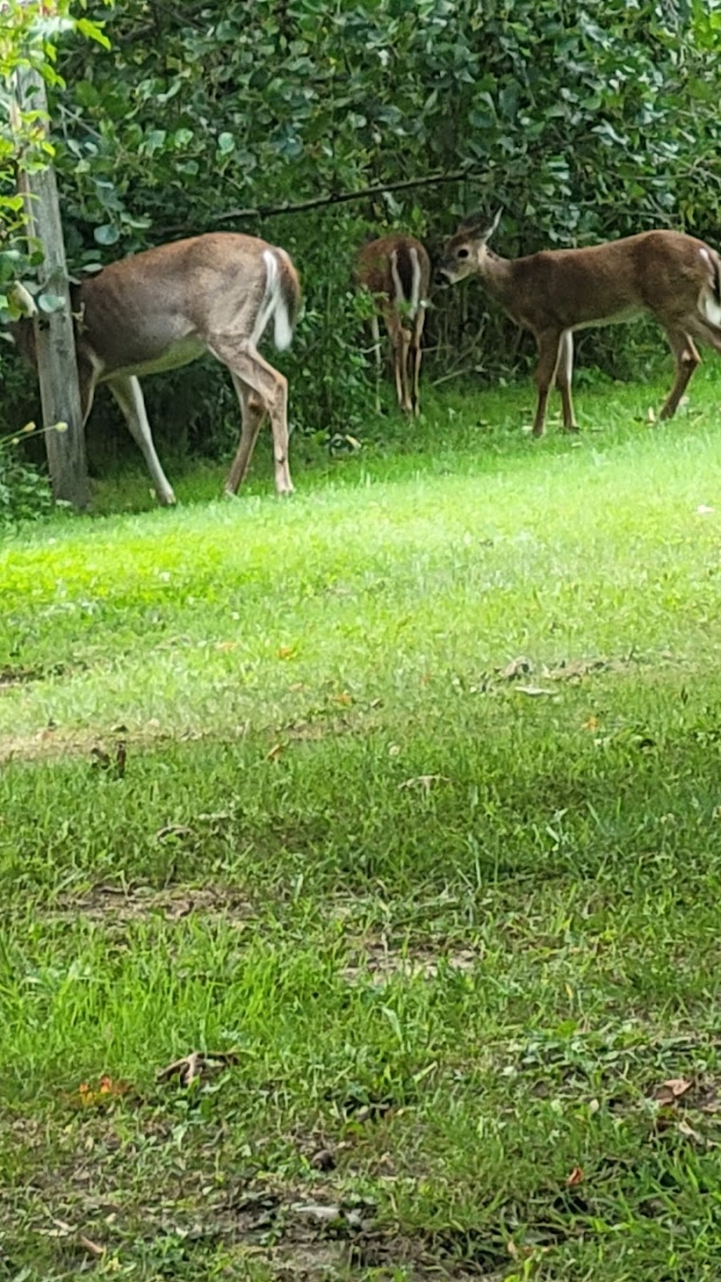 East Plymouth Valley Park