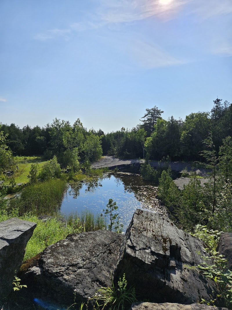 Essex Quarry Nature Preserve