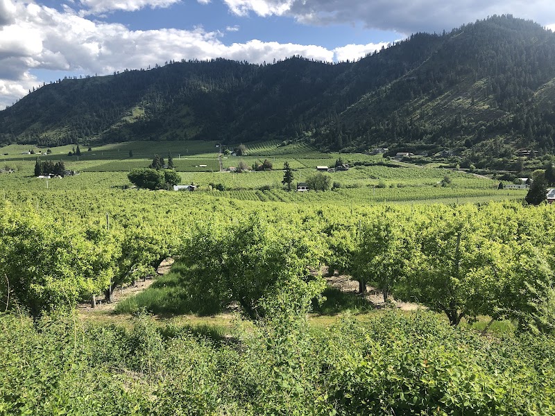 Cashmere, WA - Pickleball in Cashmere, Washington