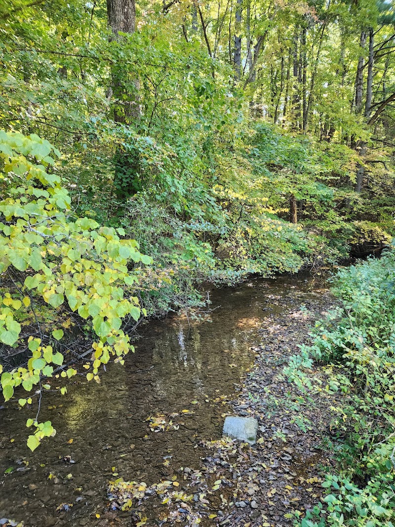 Murray Run Greenway - Pickleball in Roanoke, Virginia