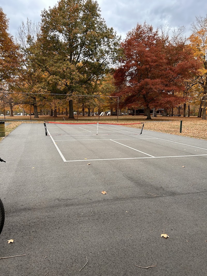 Basketball and Pickball/tennis court - Pickleball in Grammer, Indiana
