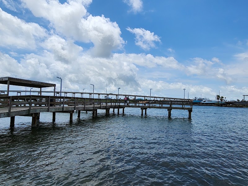 Conn Brown HarborPoint Park - Pickleball in Aransas Pass, Texas