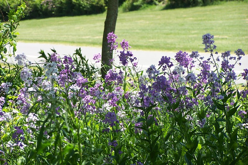 Brunswick Parks and Recreation Department