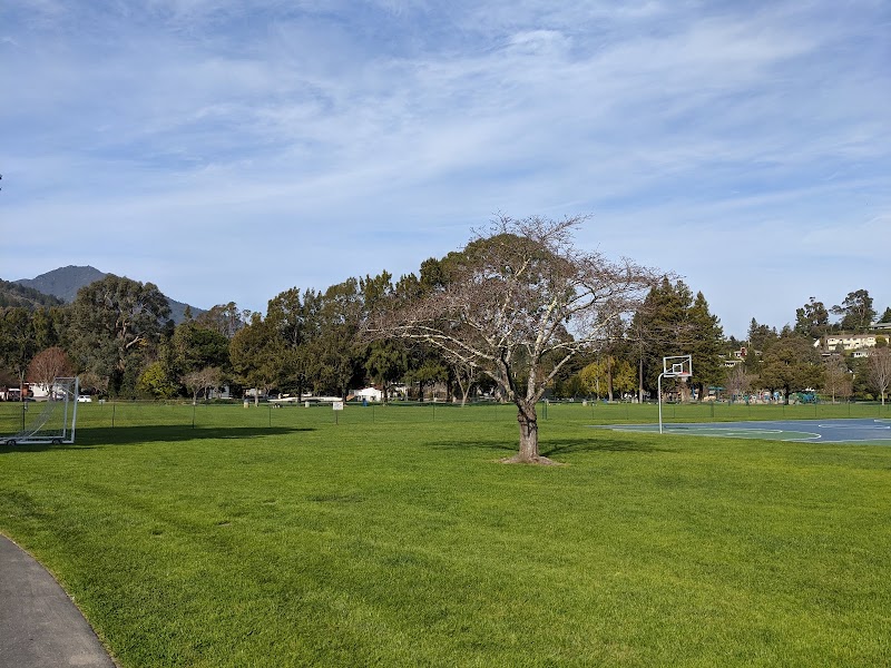Corte Madera Town Park - Pickleball in San Anselmo, California