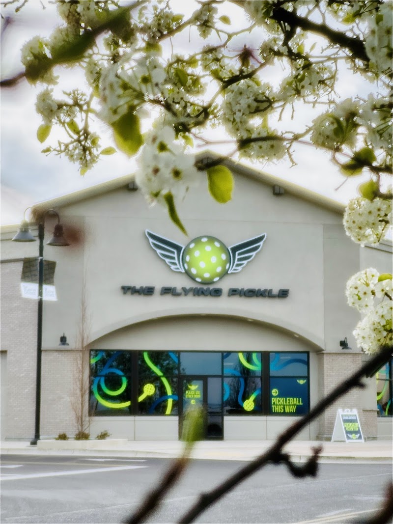 The Flying Pickle