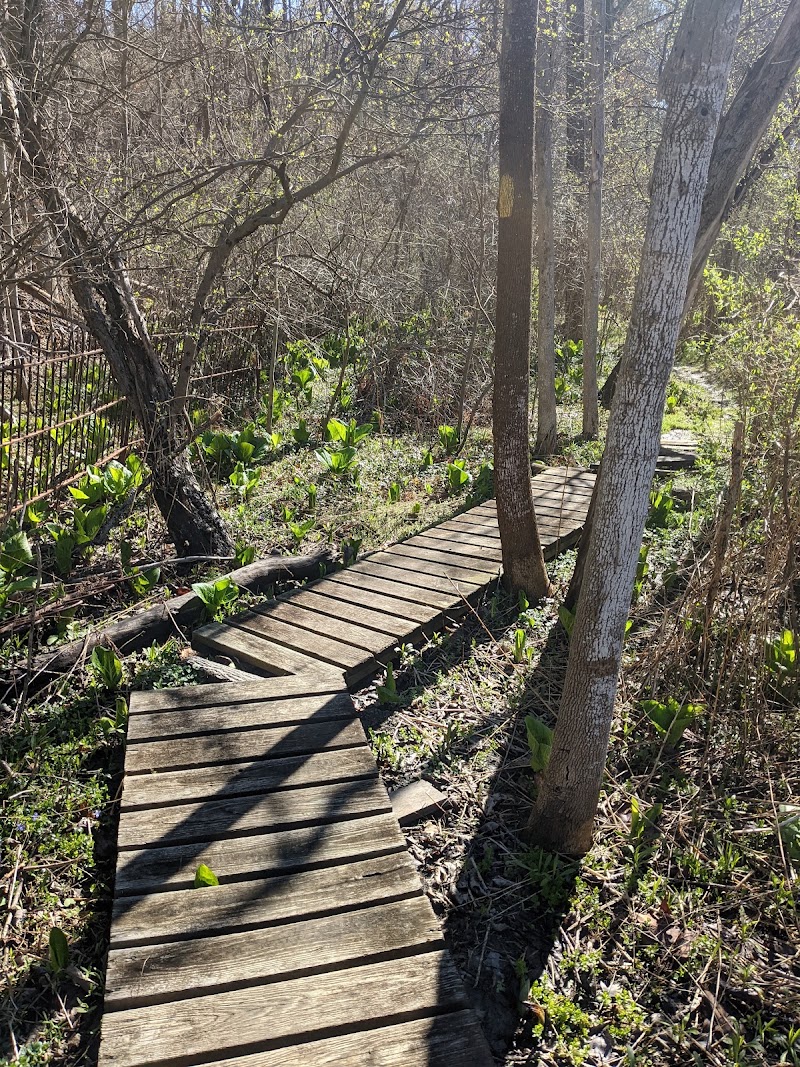 Etna Nature Preserve