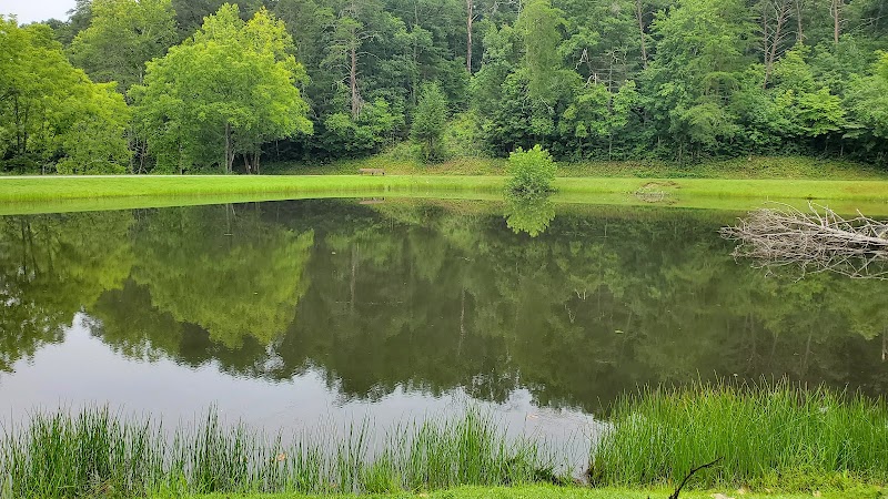 Fannin County Recreation Department - Pickleball in Mc Caysville, Georgia