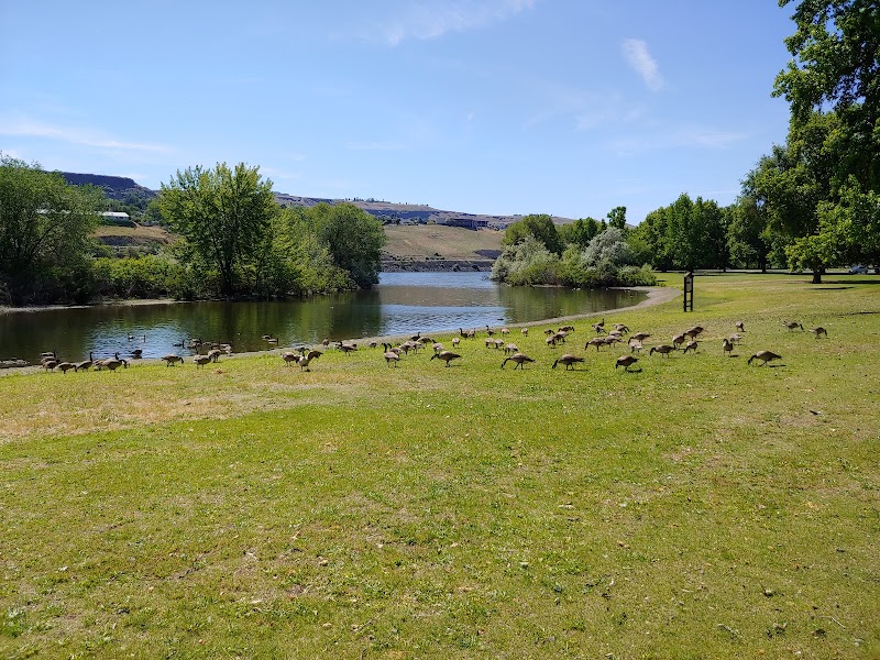 Swallows Park