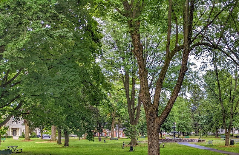Canton Village Park